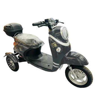 Электротрицикл GT-EV5 (Серый)
