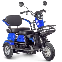 Электротрицикл Rutrike Gelbert Caf 48V/60V 600Вт Синий